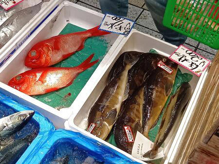 ■活魚センター大昌 (だいしょう)は、一般的な飲食店というより、プロ向けの活魚・高級食材の卸業者ですが、一般の人も購入できます。, ■今回ようやく足を運び、入店～！→日本最大級クラスの水槽設備を備え、魚を活きたまま管理・流通だって！→思ったよりも凄かった！, ■水槽には、私も大好きな天然魚の「ハモ」が！, ■大阪といえば、ふぐ！, ■わ～！沢山の魚！これは、綺麗な赤い魚のキンメ！よく食べていますよ→ほっけ！, ■イセエビ！このイセエビ生きてるよぅ！, ■うなぎもうごめいています！なんだか、気色悪いっ。, ■飲食店や料理人が仕入れに訪れるほどの高品質な食材を扱う、まさに“料理人のための魚のテーマパーク”のような存在！, ■料理人だけでなく、我が家のような一般の家族でも、魚をじっくり観察しながら購入できる、とても楽しい空間です！, ■魚一匹まるごとの状態で販売されていることも多く、珍しい魚を見ることができるのも楽しいポイントです。天然魚もたくさん並んでいて、見ているだけでもワクワクします。, ■ハモを天然魚として買ってみることに！, ■天然魚を買うミッション！１つ目の魚はハモに決定～！, ■店内を見てまわると、半額シールのお品のサーモンやまぐろを発見！, ■天然魚の本マグロです！宮崎産の天然本マグロを買ったよ！天然魚を買うミッション２つ目の魚です、成功～！, ■買って帰りまして、ハモは夕ご飯に食べるので冷蔵庫へ, ■天然の本まぐろだけで、シンプルにまぐろ丼を作ります。１０分で完成です！, ■楽しいし、美味しいし、色んな意味で、ミッション成功後の「天然本まぐろのまぐろ丼」最高です！！！, ■追加です！夕飯に食べた、サッと茹でて食べたハモですが、めちゃ旨～！！！