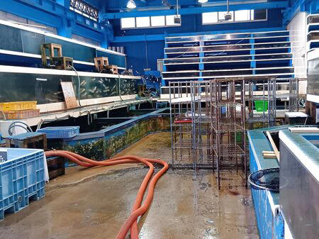 ■活魚センター大昌 (だいしょう)は、一般的な飲食店というより、プロ向けの活魚・高級食材の卸業者ですが、一般の人も購入できます。, ■今回ようやく足を運び、入店～！→日本最大級クラスの水槽設備を備え、魚を活きたまま管理・流通だって！→思ったよりも凄かった！, ■水槽には、私も大好きな天然魚の「ハモ」が！, ■大阪といえば、ふぐ！, ■わ～！沢山の魚！これは、綺麗な赤い魚のキンメ！よく食べていますよ→ほっけ！, ■イセエビ！このイセエビ生きてるよぅ！, ■うなぎもうごめいています！なんだか、気色悪いっ。, ■飲食店や料理人が仕入れに訪れるほどの高品質な食材を扱う、まさに“料理人のための魚のテーマパーク”のような存在！, ■料理人だけでなく、我が家のような一般の家族でも、魚をじっくり観察しながら購入できる、とても楽しい空間です！, ■魚一匹まるごとの状態で販売されていることも多く、珍しい魚を見ることができるのも楽しいポイントです。天然魚もたくさん並んでいて、見ているだけでもワクワクします。, ■ハモを天然魚として買ってみることに！, ■天然魚を買うミッション！１つ目の魚はハモに決定～！, ■店内を見てまわると、半額シールのお品のサーモンやまぐろを発見！, ■天然魚の本マグロです！宮崎産の天然本マグロを買ったよ！天然魚を買うミッション２つ目の魚です、成功～！, ■買って帰りまして、ハモは夕ご飯に食べるので冷蔵庫へ, ■天然の本まぐろだけで、シンプルにまぐろ丼を作ります。１０分で完成です！, ■楽しいし、美味しいし、色んな意味で、ミッション成功後の「天然本まぐろのまぐろ丼」最高です！！！, ■追加です！夕飯に食べた、サッと茹でて食べたハモですが、めちゃ旨～！！！