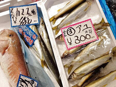 ■活魚センター大昌 (だいしょう)は、一般的な飲食店というより、プロ向けの活魚・高級食材の卸業者ですが、一般の人も購入できます。, ■今回ようやく足を運び、入店～！→日本最大級クラスの水槽設備を備え、魚を活きたまま管理・流通だって！→思ったよりも凄かった！, ■水槽には、私も大好きな天然魚の「ハモ」が！, ■大阪といえば、ふぐ！, ■わ～！沢山の魚！これは、綺麗な赤い魚のキンメ！よく食べていますよ→ほっけ！, ■イセエビ！このイセエビ生きてるよぅ！, ■うなぎもうごめいています！なんだか、気色悪いっ。, ■飲食店や料理人が仕入れに訪れるほどの高品質な食材を扱う、まさに“料理人のための魚のテーマパーク”のような存在！, ■料理人だけでなく、我が家のような一般の家族でも、魚をじっくり観察しながら購入できる、とても楽しい空間です！, ■魚一匹まるごとの状態で販売されていることも多く、珍しい魚を見ることができるのも楽しいポイントです。天然魚もたくさん並んでいて、見ているだけでもワクワクします。, ■ハモを天然魚として買ってみることに！, ■天然魚を買うミッション！１つ目の魚はハモに決定～！, ■店内を見てまわると、半額シールのお品のサーモンやまぐろを発見！, ■天然魚の本マグロです！宮崎産の天然本マグロを買ったよ！天然魚を買うミッション２つ目の魚です、成功～！, ■買って帰りまして、ハモは夕ご飯に食べるので冷蔵庫へ, ■天然の本まぐろだけで、シンプルにまぐろ丼を作ります。１０分で完成です！, ■楽しいし、美味しいし、色んな意味で、ミッション成功後の「天然本まぐろのまぐろ丼」最高です！！！, ■追加です！夕飯に食べた、サッと茹でて食べたハモですが、めちゃ旨～！！！