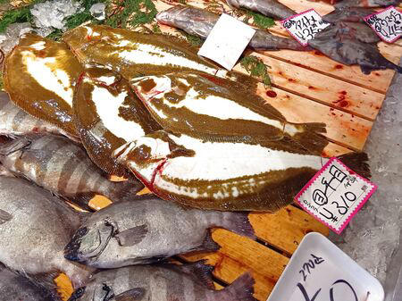 ■活魚センター大昌 (だいしょう)は、一般的な飲食店というより、プロ向けの活魚・高級食材の卸業者ですが、一般の人も購入できます。, ■今回ようやく足を運び、入店～！→日本最大級クラスの水槽設備を備え、魚を活きたまま管理・流通だって！→思ったよりも凄かった！, ■水槽には、私も大好きな天然魚の「ハモ」が！, ■大阪といえば、ふぐ！, ■わ～！沢山の魚！これは、綺麗な赤い魚のキンメ！よく食べていますよ→ほっけ！, ■イセエビ！このイセエビ生きてるよぅ！, ■うなぎもうごめいています！なんだか、気色悪いっ。, ■飲食店や料理人が仕入れに訪れるほどの高品質な食材を扱う、まさに“料理人のための魚のテーマパーク”のような存在！, ■料理人だけでなく、我が家のような一般の家族でも、魚をじっくり観察しながら購入できる、とても楽しい空間です！, ■魚一匹まるごとの状態で販売されていることも多く、珍しい魚を見ることができるのも楽しいポイントです。天然魚もたくさん並んでいて、見ているだけでもワクワクします。, ■ハモを天然魚として買ってみることに！, ■天然魚を買うミッション！１つ目の魚はハモに決定～！, ■店内を見てまわると、半額シールのお品のサーモンやまぐろを発見！, ■天然魚の本マグロです！宮崎産の天然本マグロを買ったよ！天然魚を買うミッション２つ目の魚です、成功～！, ■買って帰りまして、ハモは夕ご飯に食べるので冷蔵庫へ, ■天然の本まぐろだけで、シンプルにまぐろ丼を作ります。１０分で完成です！, ■楽しいし、美味しいし、色んな意味で、ミッション成功後の「天然本まぐろのまぐろ丼」最高です！！！, ■追加です！夕飯に食べた、サッと茹でて食べたハモですが、めちゃ旨～！！！
