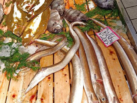 ■活魚センター大昌 (だいしょう)は、一般的な飲食店というより、プロ向けの活魚・高級食材の卸業者ですが、一般の人も購入できます。, ■今回ようやく足を運び、入店～！→日本最大級クラスの水槽設備を備え、魚を活きたまま管理・流通だって！→思ったよりも凄かった！, ■水槽には、私も大好きな天然魚の「ハモ」が！, ■大阪といえば、ふぐ！, ■わ～！沢山の魚！これは、綺麗な赤い魚のキンメ！よく食べていますよ→ほっけ！, ■イセエビ！このイセエビ生きてるよぅ！, ■うなぎもうごめいています！なんだか、気色悪いっ。, ■飲食店や料理人が仕入れに訪れるほどの高品質な食材を扱う、まさに“料理人のための魚のテーマパーク”のような存在！, ■料理人だけでなく、我が家のような一般の家族でも、魚をじっくり観察しながら購入できる、とても楽しい空間です！, ■魚一匹まるごとの状態で販売されていることも多く、珍しい魚を見ることができるのも楽しいポイントです。天然魚もたくさん並んでいて、見ているだけでもワクワクします。, ■ハモを天然魚として買ってみることに！, ■天然魚を買うミッション！１つ目の魚はハモに決定～！, ■店内を見てまわると、半額シールのお品のサーモンやまぐろを発見！, ■天然魚の本マグロです！宮崎産の天然本マグロを買ったよ！天然魚を買うミッション２つ目の魚です、成功～！, ■買って帰りまして、ハモは夕ご飯に食べるので冷蔵庫へ, ■天然の本まぐろだけで、シンプルにまぐろ丼を作ります。１０分で完成です！, ■楽しいし、美味しいし、色んな意味で、ミッション成功後の「天然本まぐろのまぐろ丼」最高です！！！, ■追加です！夕飯に食べた、サッと茹でて食べたハモですが、めちゃ旨～！！！