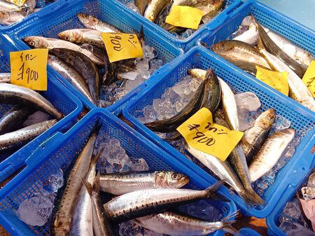 ■活魚センター大昌 (だいしょう)は、一般的な飲食店というより、プロ向けの活魚・高級食材の卸業者ですが、一般の人も購入できます。, ■今回ようやく足を運び、入店～！→日本最大級クラスの水槽設備を備え、魚を活きたまま管理・流通だって！→思ったよりも凄かった！, ■水槽には、私も大好きな天然魚の「ハモ」が！, ■大阪といえば、ふぐ！, ■わ～！沢山の魚！これは、綺麗な赤い魚のキンメ！よく食べていますよ→ほっけ！, ■イセエビ！このイセエビ生きてるよぅ！, ■うなぎもうごめいています！なんだか、気色悪いっ。, ■飲食店や料理人が仕入れに訪れるほどの高品質な食材を扱う、まさに“料理人のための魚のテーマパーク”のような存在！, ■料理人だけでなく、我が家のような一般の家族でも、魚をじっくり観察しながら購入できる、とても楽しい空間です！, ■魚一匹まるごとの状態で販売されていることも多く、珍しい魚を見ることができるのも楽しいポイントです。天然魚もたくさん並んでいて、見ているだけでもワクワクします。, ■ハモを天然魚として買ってみることに！, ■天然魚を買うミッション！１つ目の魚はハモに決定～！, ■店内を見てまわると、半額シールのお品のサーモンやまぐろを発見！, ■天然魚の本マグロです！宮崎産の天然本マグロを買ったよ！天然魚を買うミッション２つ目の魚です、成功～！, ■買って帰りまして、ハモは夕ご飯に食べるので冷蔵庫へ, ■天然の本まぐろだけで、シンプルにまぐろ丼を作ります。１０分で完成です！, ■楽しいし、美味しいし、色んな意味で、ミッション成功後の「天然本まぐろのまぐろ丼」最高です！！！, ■追加です！夕飯に食べた、サッと茹でて食べたハモですが、めちゃ旨～！！！