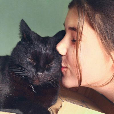 猫があなたに『ありがとう』と伝えているサイン3つ, 1.ゆっくり瞬きをしてくる, 2.体をこすりつけてくる, 3.お腹を見せてリラックスする, 愛猫が感謝を感じる瞬間や応え方