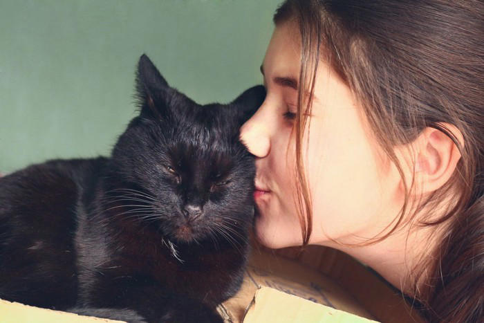 猫があなたに『ありがとう』と伝えているサイン3つ, 1.ゆっくり瞬きをしてくる, 2.体をこすりつけてくる, 3.お腹を見せてリラックスする, 愛猫が感謝を感じる瞬間や応え方