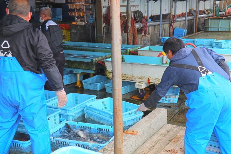 ■ ワインのプロが挑む、新しい鮮魚店のカタチ, ■ 刺身を伝統の「淡路瓦」に盛り付け、イタリアンな食べ方を提案, ■ 待ち時間をゼロにして、観光を楽しむ時間を有効に, ■ 土日限定で1000円の「漁師町の朝ご飯」も