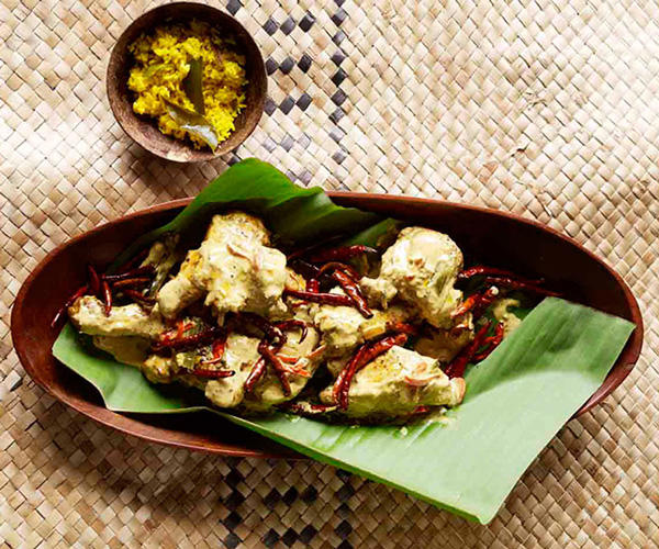 Chicken curries to warm you up from the inside out, Chicken and bamboo-shoot yellow curry with roti and rice , Chiang Mai chicken curry , Ohn no khao swè (Burmese curry chicken noodle soup) , Palisa Anderson’s gaeng keow wan gai (Thai green chicken curry)