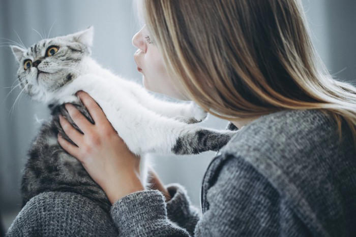 猫が甘えなくなったときに考えられる5つの原因, 1.健康面の問題, 2.環境の変化によるストレス, 3.飼い主との関係性の変化, 4.成長や加齢による変化, 5.季節や気温の影響, 猫が甘えなくなったときの改善方法は？