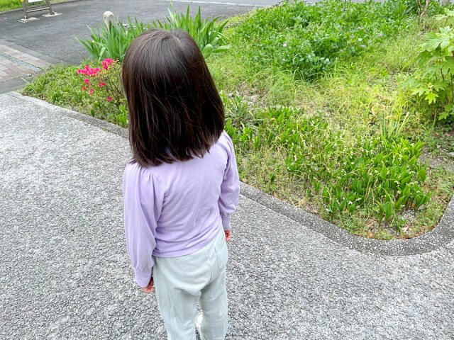 ・『ごろチキ』復活, ・第1～第2レース：神との再会, ・第3～第4レース：予期せぬ発見, ・最終レース：勝利へのラスト『ごろチキ』