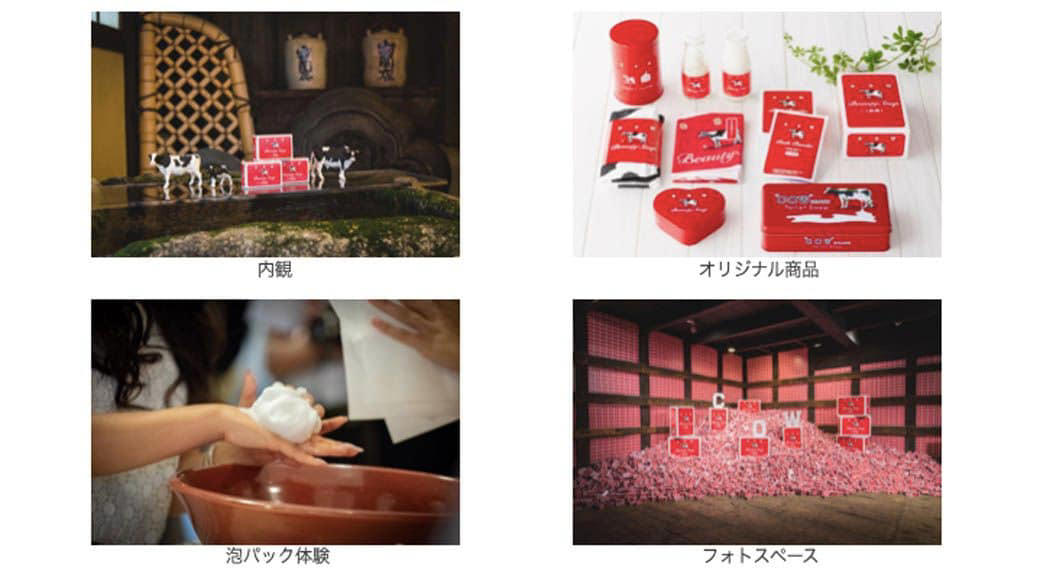 「洗顔で売る」はタブーだった, このままでは「赤箱」がなくなる…強烈な危機感, 1万2000人が押し寄せたリアルイベント, 「ブランドはお客様のもの」, ブランドの復活に必要だったもの, 「商いは牛の歩みのごとく」