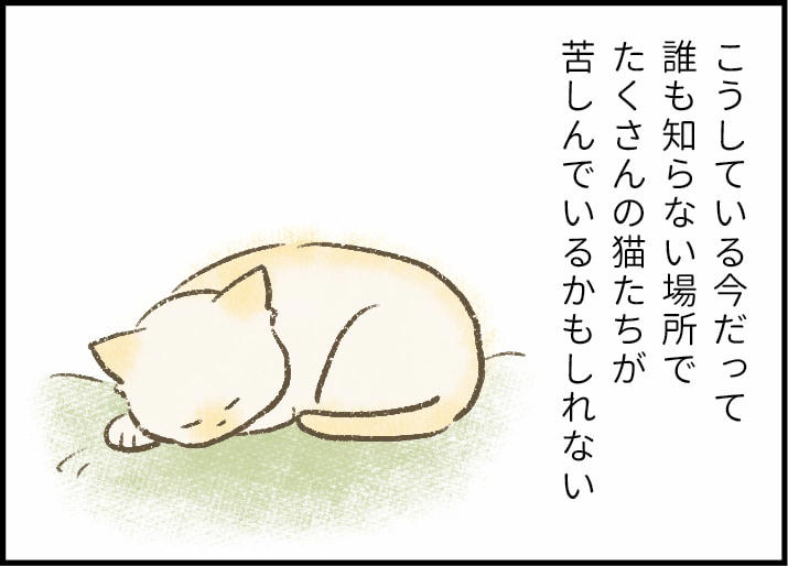 「猫なんか好きになるんじゃなかった」, 「いのりはきっと幸せになれる」, 愛玩動物の犬や猫には自分だけの家族が必要, 人を信じることを知ったいのりは幸せを掴んだ