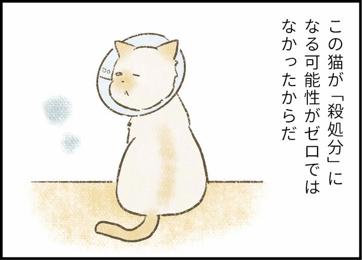 「猫なんか好きになるんじゃなかった」, 「いのりはきっと幸せになれる」, 愛玩動物の犬や猫には自分だけの家族が必要, 人を信じることを知ったいのりは幸せを掴んだ