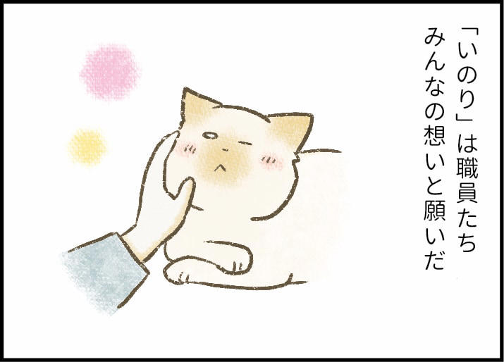 「猫なんか好きになるんじゃなかった」, 「いのりはきっと幸せになれる」, 愛玩動物の犬や猫には自分だけの家族が必要, 人を信じることを知ったいのりは幸せを掴んだ