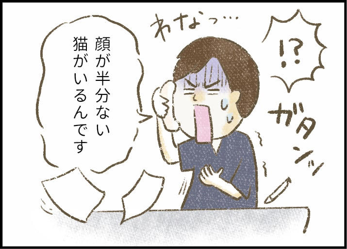 「猫なんか好きになるんじゃなかった」, 「いのりはきっと幸せになれる」, 愛玩動物の犬や猫には自分だけの家族が必要, 人を信じることを知ったいのりは幸せを掴んだ