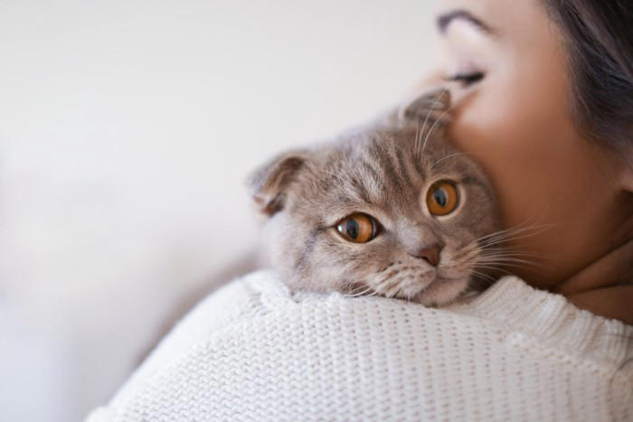 猫があごのせをする5つの理由と心理, 2.信頼している, 3.安心している, 5.縄張りの主張, あごのせしてきたときの対応は？