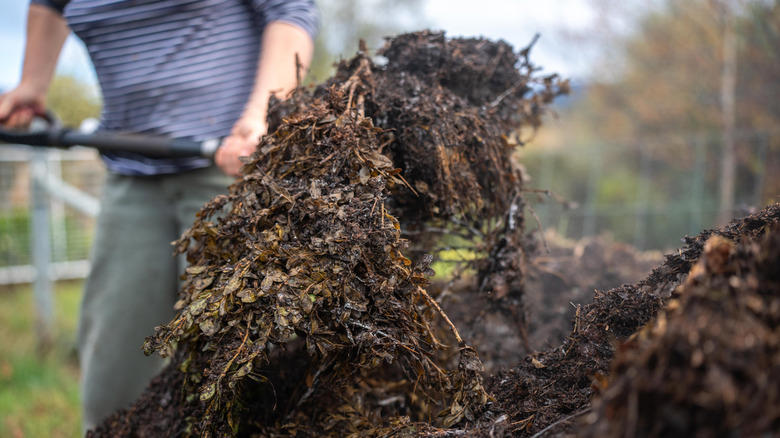 Prune existing plants for new growth and more air circulation, Fertilize early to maximize growth potential, Start composting early to provide timely nutrients for plants, Use quick-growing blooms to attract early pollinators, Test your soil and adjust fertilizer as necessary, Transform poor soil by balancing its core components early, Oxygenate soil by tilling before and after adding amendments, Utilize fast-growing crops for a productive spring harvest, Apply mulch early to retain moisture and control weeds