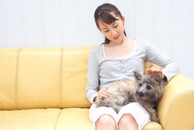 「人に依存しすぎている犬」の特徴4選, 1.どこへ行くにも後ろをついてくる, 2.姿が見えなくなると激しく鳴く、吠える, 3.常に体に触れていようとする, 4.留守番中に物を壊したり、トイレを失敗したりする, 犬が人に依存してしまう主な原因, 依存状態を放置するとどうなる？, 愛犬と「程よい距離」を保つための対策