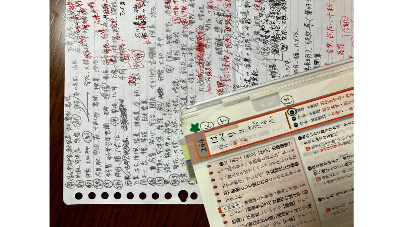 ■先輩パパ・ママの受験体験記,  早いうちから「一般選抜」に決めた,  何学部を受験すればいいかわからない, 複雑すぎる受験方式, 今だからわかる、受験の反省点