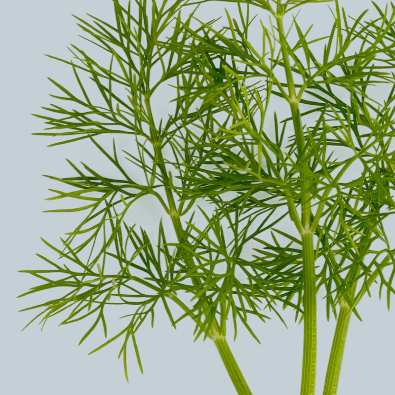 Add crunch for contrast, Brighten it with pickled flavor, Layer in herbs, Turn up the heat