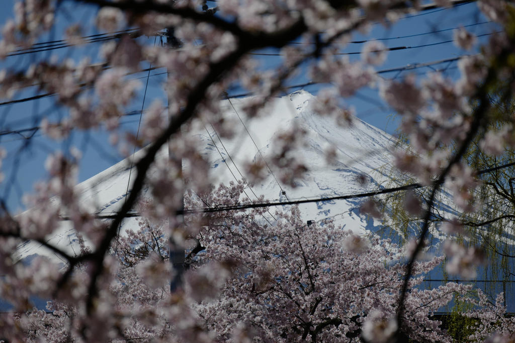 10,000 tourists a day 'threaten residents' daily lives', ‘Tourism pollution’ across Japan, Locals find the tourism ‘good but annoying’, Tourists enjoy the view and culture, despite crowds, Overtourism dividing residents