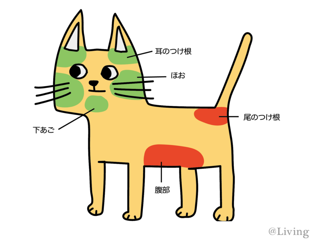 ペットが人に与える効果。根本は「ストレスの低減」, 猫による健康効果は複合的, 猫はかすがい?! 動物がもたらす社会的な効果, 本当に猫は人をなぐさめてくれるの？, 猫は、じつは人が好き?!, 猫と良好な関係を築くコツ, 猫の習性をよく知ろう, 猫の表情は276通り！, さわられて喜ぶところと嫌がるところがある, 「猫なで声」は効果的, 猫が嫌がるのは「環境の変化」, 人間の気まぐれな感情も猫にとっては「環境の変化」, 愛着は時間をかけて育てるもの, 改めて考えたい動物と暮らす幸せ, 東京農業大学 農学部 動物科学科教授／内山秀彦先生