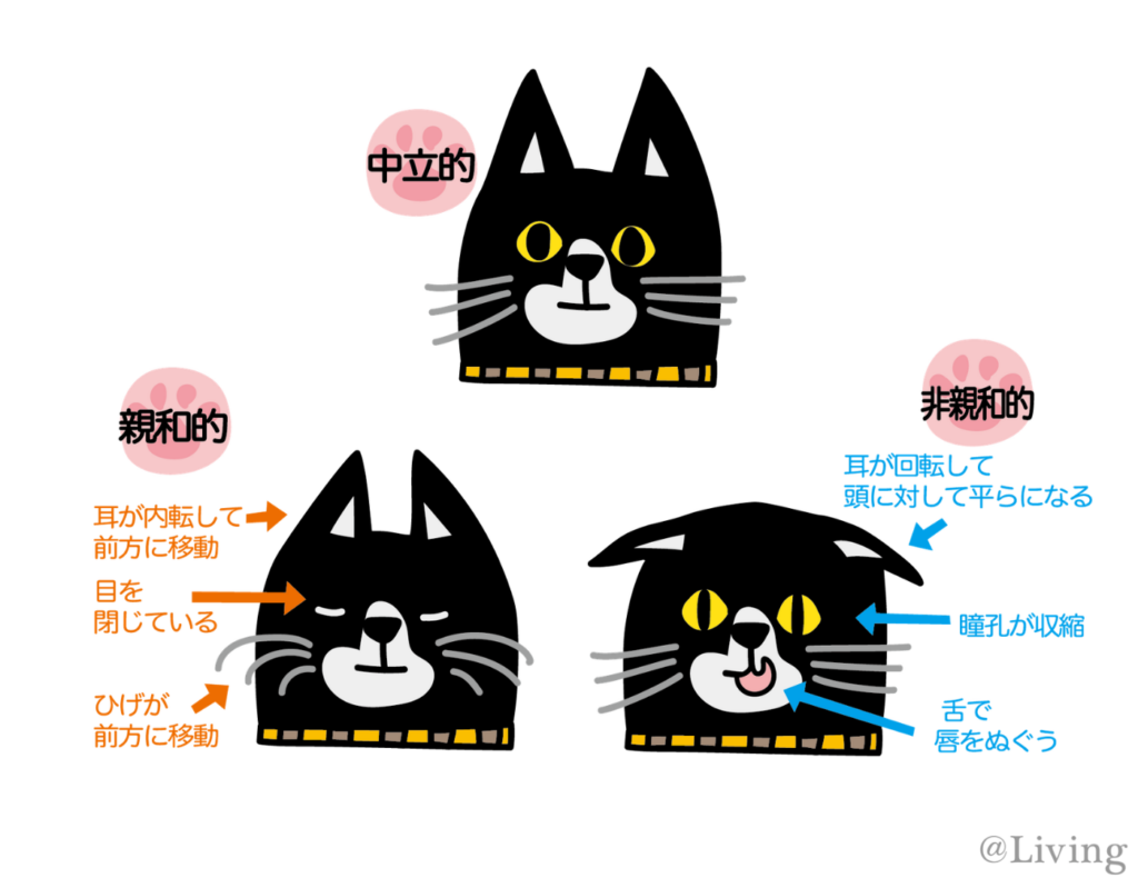 ペットが人に与える効果。根本は「ストレスの低減」, 猫による健康効果は複合的, 猫はかすがい?! 動物がもたらす社会的な効果, 本当に猫は人をなぐさめてくれるの？, 猫は、じつは人が好き?!, 猫と良好な関係を築くコツ, 猫の習性をよく知ろう, 猫の表情は276通り！, さわられて喜ぶところと嫌がるところがある, 「猫なで声」は効果的, 猫が嫌がるのは「環境の変化」, 人間の気まぐれな感情も猫にとっては「環境の変化」, 愛着は時間をかけて育てるもの, 改めて考えたい動物と暮らす幸せ, 東京農業大学 農学部 動物科学科教授／内山秀彦先生