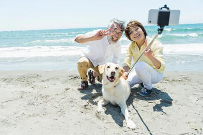 犬を「スマホで撮影」するときのNG行為3選, 1.フラッシュの使用, 2.無理なポーズの強要, 3.長時間の拘束, 犬が「撮られたくない」時に出すサイン, 愛犬に負担をかけない撮影のコツ