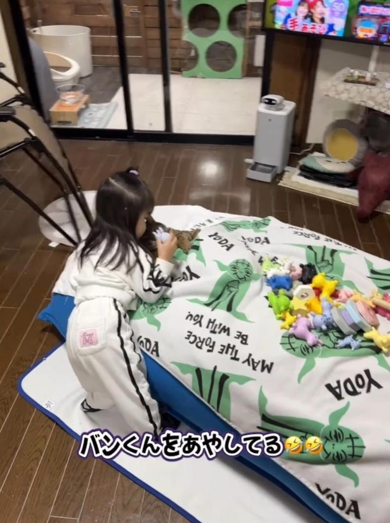 「物心ついたときから猫がいる」関係, バンくんは“お母さん役”の優しい猫, 「お姉ちゃんになる準備」成長の一コマ, 「逃げないのがすごい」反響の声, 大切にしたい「当たり前の日常」
