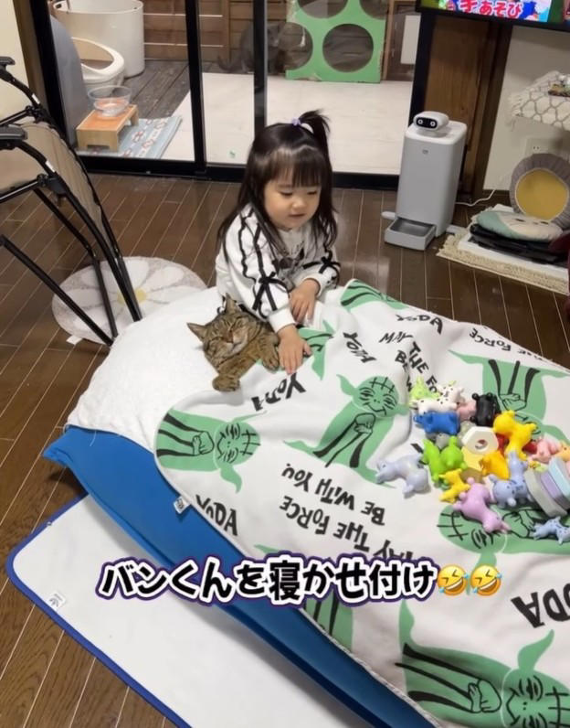 「物心ついたときから猫がいる」関係, バンくんは“お母さん役”の優しい猫, 「お姉ちゃんになる準備」成長の一コマ, 「逃げないのがすごい」反響の声, 大切にしたい「当たり前の日常」