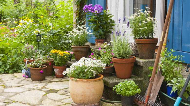 Pots and planters, Accent lighting, Ceiling fans, Statues and other outdoor decorations, Outdoor rugs, Hammocks, Outdoor chairs and benches, Tableware, Furniture for entertaining, Wind chimes, Fire pits and patio heaters