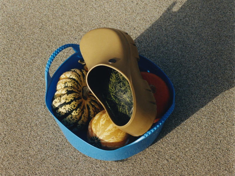 The Artist – 0, The Rebel – 5, The Gardener – 0, The Collector – 0