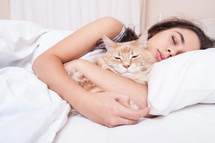 猫が添い寝したがるときのサイン3選とその心理, 1.眠くなると飼い主にフミフミする, 2.ふとんの上で待っている, 3.横になると顔の近くに寄ってくる, 猫と添い寝するときの注意点