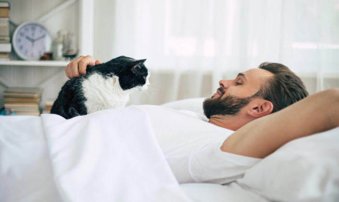 猫が添い寝したがるときのサイン3選とその心理, 1.眠くなると飼い主にフミフミする, 2.ふとんの上で待っている, 3.横になると顔の近くに寄ってくる, 猫と添い寝するときの注意点