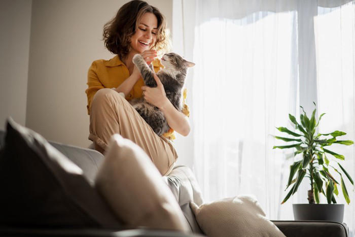猫が嫌がるNG行為3選, 1.大きな声で叱る, 2.一方的なスキンシップ, 3.日によって構い方が変わる, 嫌な気持ちになる理由, 信頼を取り戻す方法