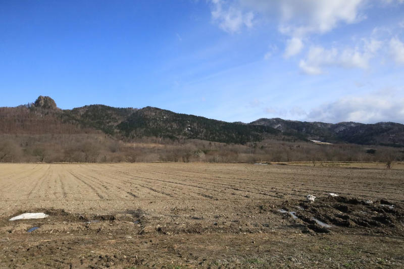牧場内に出没しはじめたヒグマ, 命がけの活動の報酬金は…, 連日出没するヒグマ2頭の駆除へ, 襲われる遠因となった二つの誤算, 顎に嚙みつかれ、目を引っかかれる, 渾身の右パンチがクマの口に…