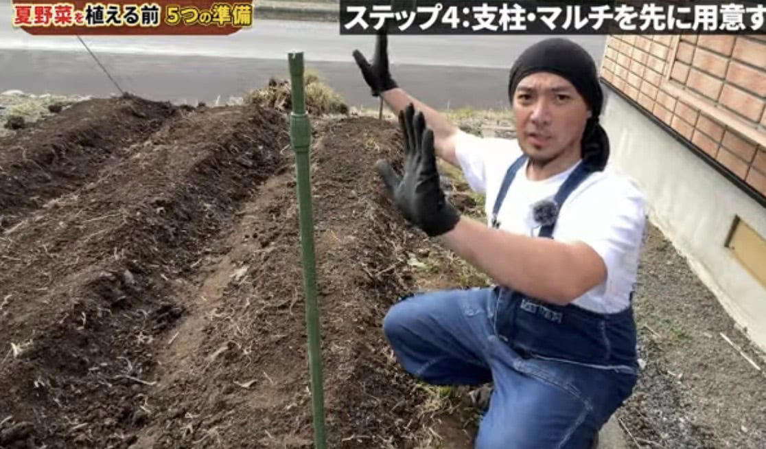 夏野菜を植える前の５つの準備, まずは用具をそろえよう, STEP1 植える場所を先に決める, STEP3 畝を作って水はけを確保する, STEP4 支柱・マルチを先に用意する, ステップ5 株間と並び方を決める, 【まとめ】夏野菜は植える前の準備で差がつく！
