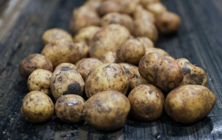Make potato pie instead of steak pie Buy lettuce instead of bagged leaves, Quit fizzy water and try making Tepache instead, Try jarred peppers and aubergines instead of fresh, Cherish tomatoes, and grow your own, Make potato pie instead of steak pie, Swap cucumbers for radishes and raw courgettes, Transform chicken breast into meatballs