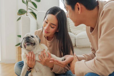 「温厚な性格」の犬種5選, 1.ゴールデン・レトリバー, 2.ラブラドール・レトリバー, 性格が良いからこそ気をつけたい注意点, 信頼関係を築くためのポイント