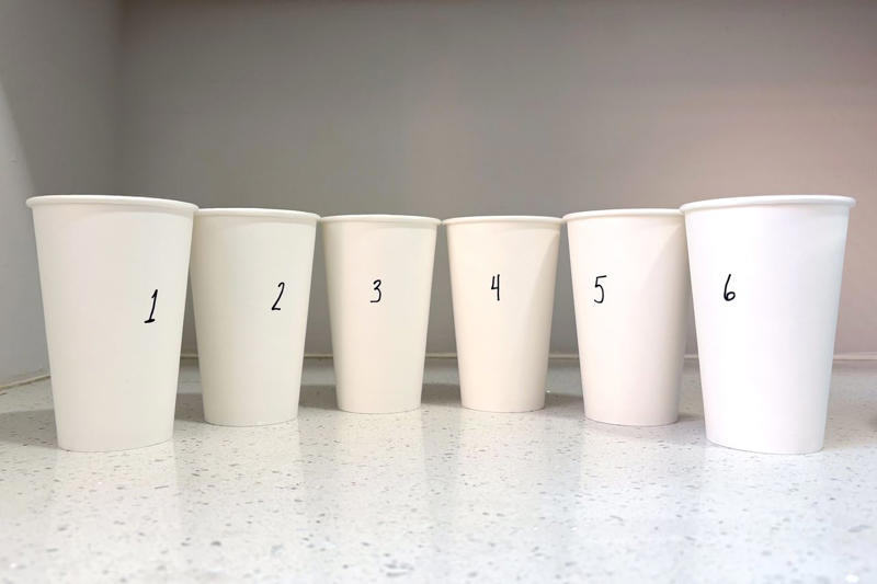 How we selected the beers, How we tested, Best overall: Miller Lite, Runner-up: Bud Light, A close third: Coors Light, The full list of light beers, from highest to lowest, ranked