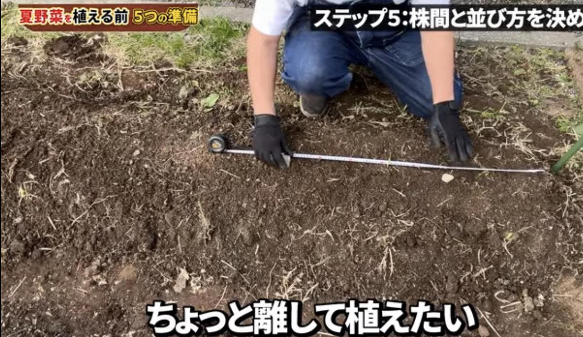 夏野菜を植える前の５つの準備, まずは用具をそろえよう, STEP1 植える場所を先に決める, STEP3 畝を作って水はけを確保する, STEP4 支柱・マルチを先に用意する, ステップ5 株間と並び方を決める, 【まとめ】夏野菜は植える前の準備で差がつく！