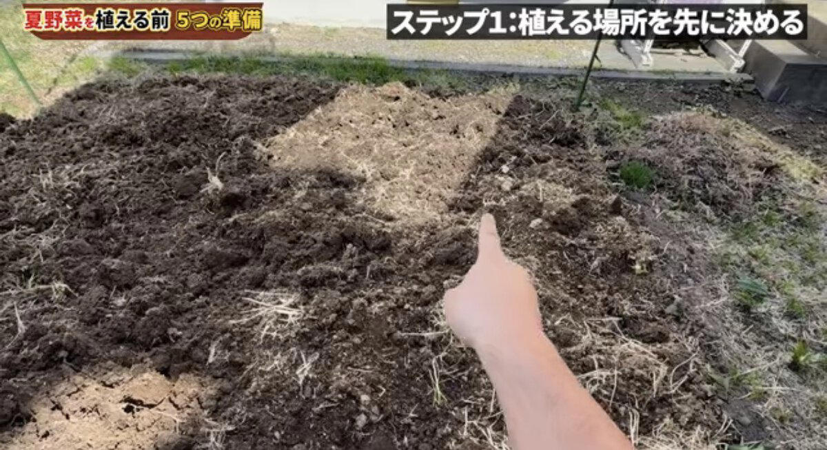 夏野菜を植える前の５つの準備, まずは用具をそろえよう, STEP1 植える場所を先に決める, STEP3 畝を作って水はけを確保する, STEP4 支柱・マルチを先に用意する, ステップ5 株間と並び方を決める, 【まとめ】夏野菜は植える前の準備で差がつく！