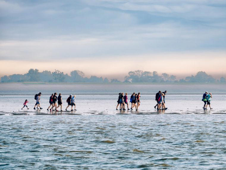 Holland’s Frisian Islands , Theme-park thrills and the Black Forest, Donkey trekking in Catalonia , Venice city break , Canoeing in Denmark , The Ionian Islands
