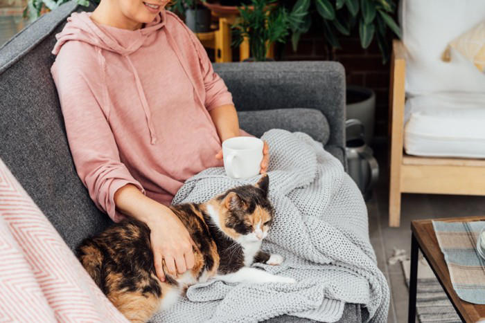 猫が「不安な気持ち」になっているときのサイン5選, 1.耳が横に寝ている, 2.しっぽを足の間に巻き込む, 3.いつもより低い声で鳴き続ける, 4.過剰に体をなめる, 5.物陰に隠れて出てこない, なぜ不安になるの？考えられる主な原因, 愛猫を落ち着かせるためのポイント