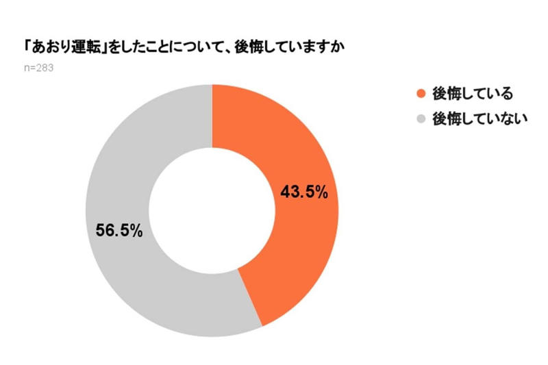 妨害運転罪の導入と処罰強化, 被害実態と意識の乖離, 記録機器の普及と運転環境, 速度意識と摩擦の拡大, 抑止策の方向性と強化論, 罰則強化と可視化の効果