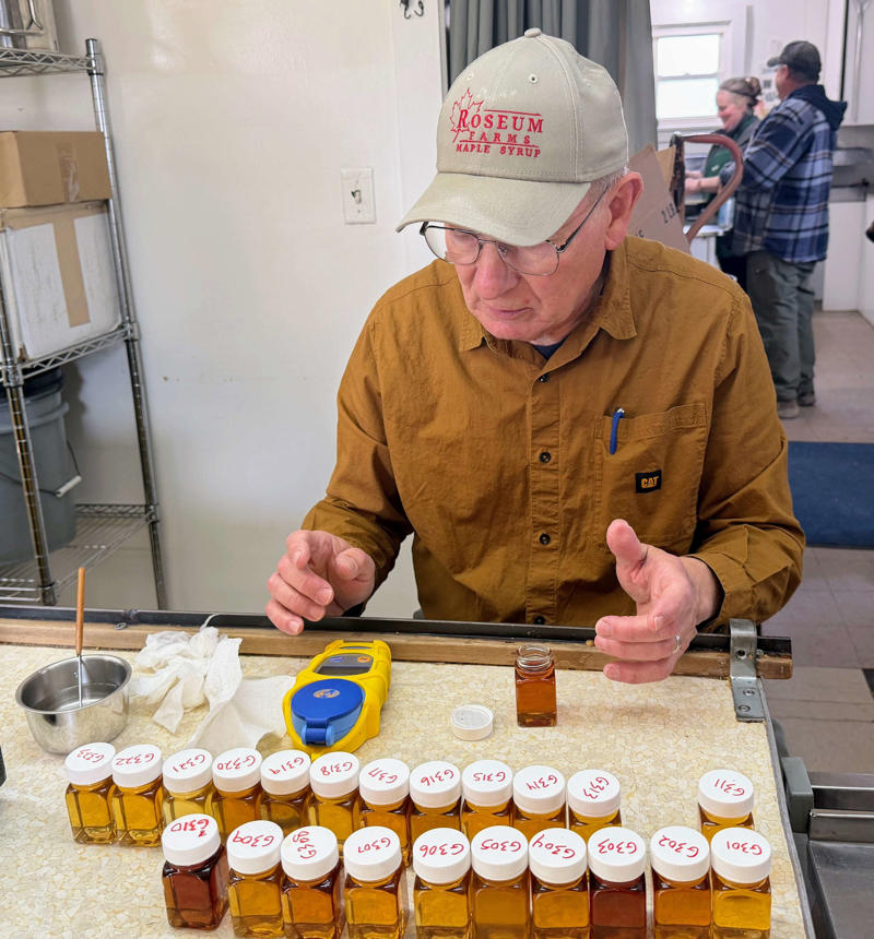 Producer class, Hobby class, Out of County class, Maple Adult Candy, Maple Junior Candy, Maple Value-Added