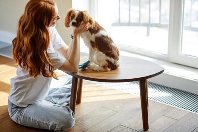 犬の『ストレスが溜まりすぎている』サイン５選, 1.問題行動があからさまに悪化する, 2.異常なほど常同行動を繰り返す, 3.1日中、動かずに無気力状態, 4.異様な様子で部屋の中を走り回る, 5.嘔吐や下痢など身体的症状が現れる, 愛犬が限界を迎えているときに飼い主がすべき対応, まずはストレス源を探ろう, ストレスの原因ごとに適切な対処を