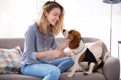 犬の『ストレスが溜まりすぎている』サイン５選, 1.問題行動があからさまに悪化する, 2.異常なほど常同行動を繰り返す, 3.1日中、動かずに無気力状態, 4.異様な様子で部屋の中を走り回る, 5.嘔吐や下痢など身体的症状が現れる, 愛犬が限界を迎えているときに飼い主がすべき対応, まずはストレス源を探ろう, ストレスの原因ごとに適切な対処を