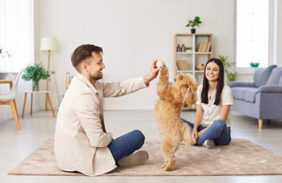 犬の『ストレスが溜まりすぎている』サイン５選, 1.問題行動があからさまに悪化する, 2.異常なほど常同行動を繰り返す, 3.1日中、動かずに無気力状態, 4.異様な様子で部屋の中を走り回る, 5.嘔吐や下痢など身体的症状が現れる, 愛犬が限界を迎えているときに飼い主がすべき対応, まずはストレス源を探ろう, ストレスの原因ごとに適切な対処を