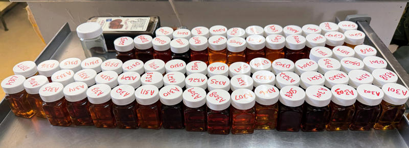 Producer class, Hobby class, Out of County class, Maple Adult Candy, Maple Junior Candy, Maple Value-Added