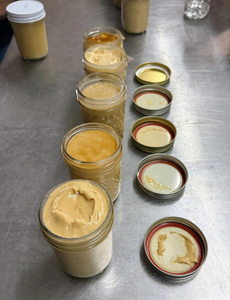 Producer class, Hobby class, Out of County class, Maple Adult Candy, Maple Junior Candy, Maple Value-Added