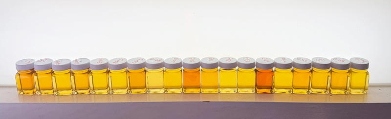 Producer class, Hobby class, Out of County class, Maple Adult Candy, Maple Junior Candy, Maple Value-Added